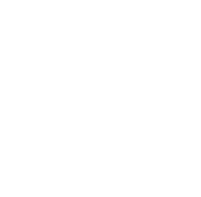 Raritetnik white logo